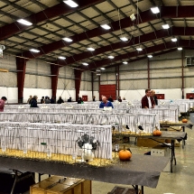 Western Canadian National Show. (show and banquet Nov. 2,3 2019) (2).nxd