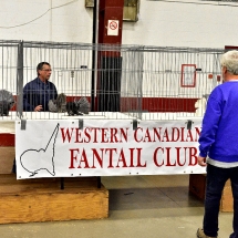 Western Canadian National Show. (show and banquet Nov. 2,3 2019) (20).nxd