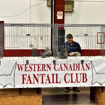 Western Canadian National Show. (show and banquet Nov. 2,3 2019) (21).nxd