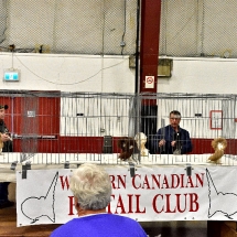 Western Canadian National Show. (show and banquet Nov. 2,3 2019) (52).nxd