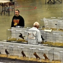 Western Canadian National Show. (show and banquet Nov. 2,3 2019) (56).nxd